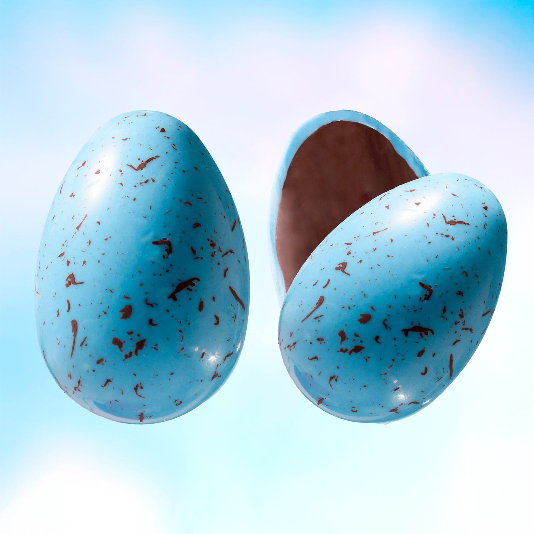Robin's Egg - Curated Boutique Egg Choice